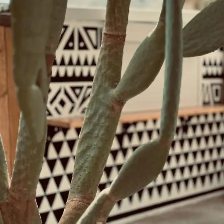 La Casa Di Lusso N6 -adults Only * קולימביה