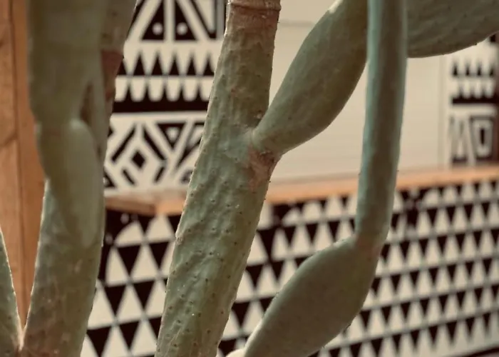 La Casa Di Lusso N6 -adults Only * Kolymbia